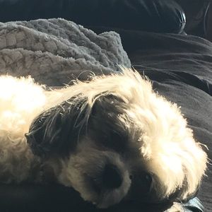 Meet your Posher, Cheryl